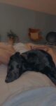 Holly - 6