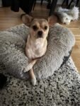 Macy - 2