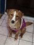Lola - 14