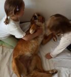 Lola - 5
