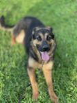 Lucy - 10