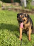 Lucy - 13