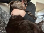Viggo - 20